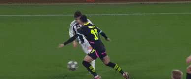 1739316525351087468.gif 尤埃82.gif